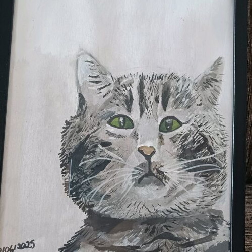 Signed artwork new, gray cat