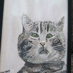 Signed artwork new, gray cat