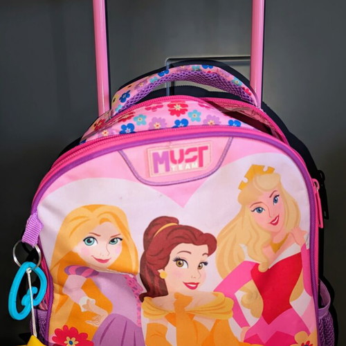 Kindergarten trolley bag Disney princesses new with gift water bottle