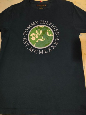 Tommy Hilfiger T-shirt medium, blue with large chest print