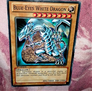 yugioh blue eyes white dragon common