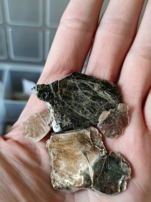 Muscovite set new