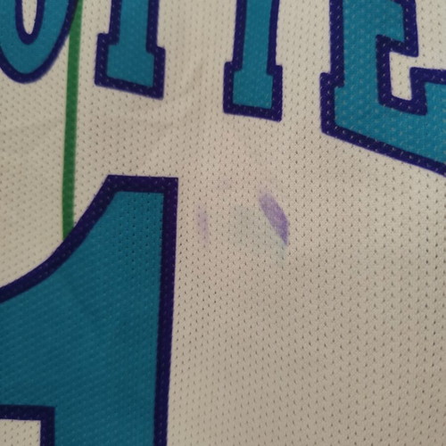 Charlotte Hornets NBA Jersey Glen Rice used, size L