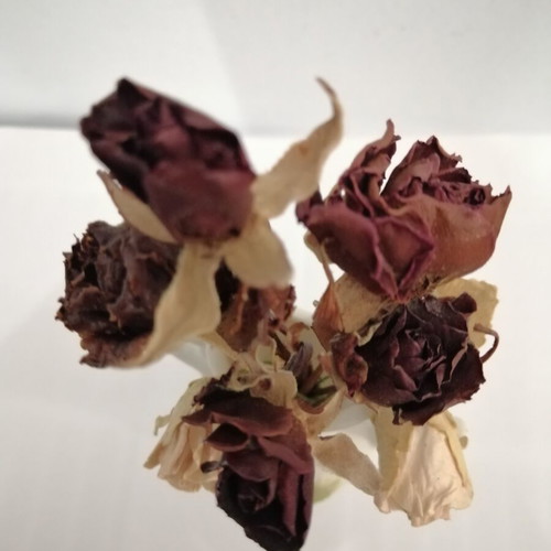Porcelain vase with dried roses like new, 1986 vintage