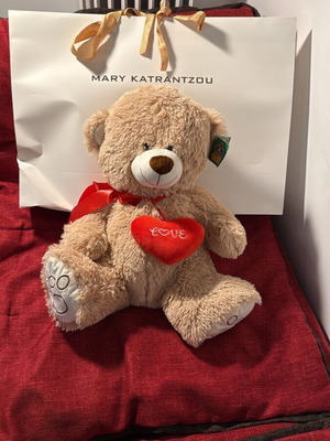 Teddy bear plush new with removable bow and tag