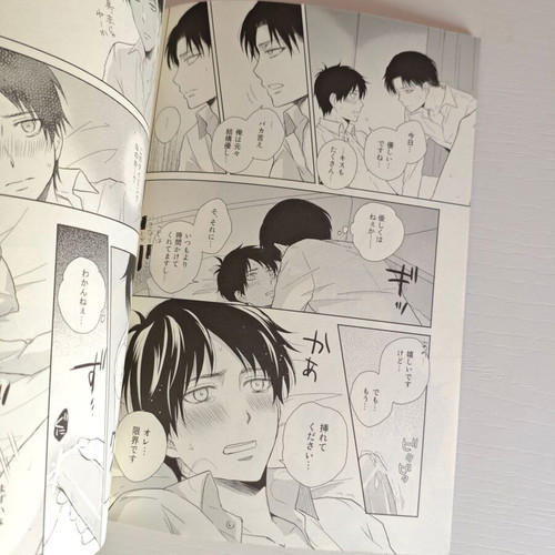 Attack on Titan BL doujinshi manga used Levi x Eren
