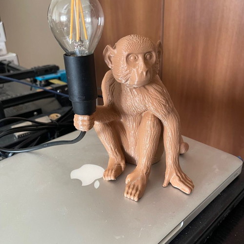 Original 3D printed monkey table lamps new