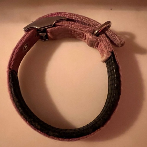 Dog collar used in pink color with leather lining