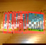  PANINI / M&S England Sticker Collection /