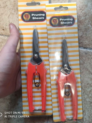 Pruning shears new, set of 2 pieces