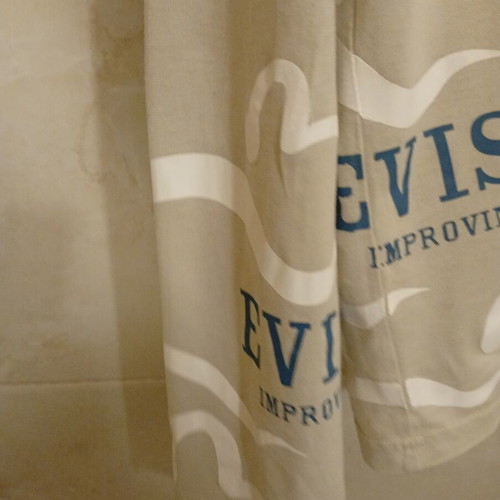 Evisu Evisemen long sleeve T-shirt, beige, size L