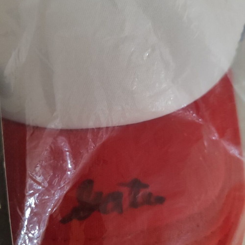 Stranger Things Dustin Gaten Matarazzo Signed Autograph Hat Bam Box Certified