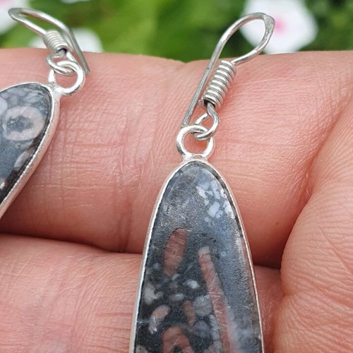 Fossil Crinoid Earrings Silver Plated 925 New Handmade