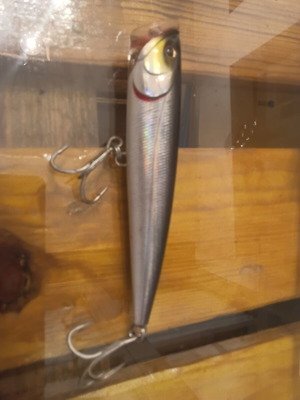 Daiwa Saltiga Popper fishing lure used, 40gr