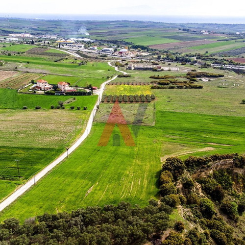 Buildable agricultural land 15,000 m² in Scholari Thessaloniki