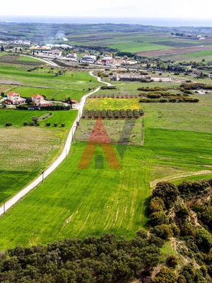 Buildable agricultural land 15,000 m² in Scholari Thessaloniki