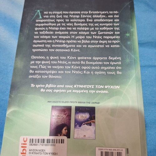 The Mystery book The Soul Hunters like new, supernatural fiction