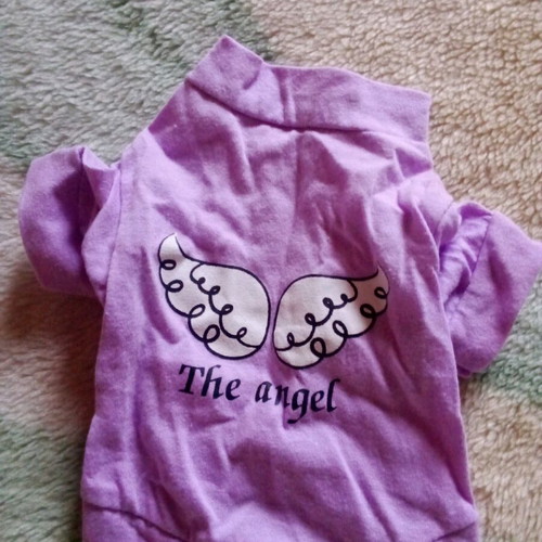 Clothing for small dog like new