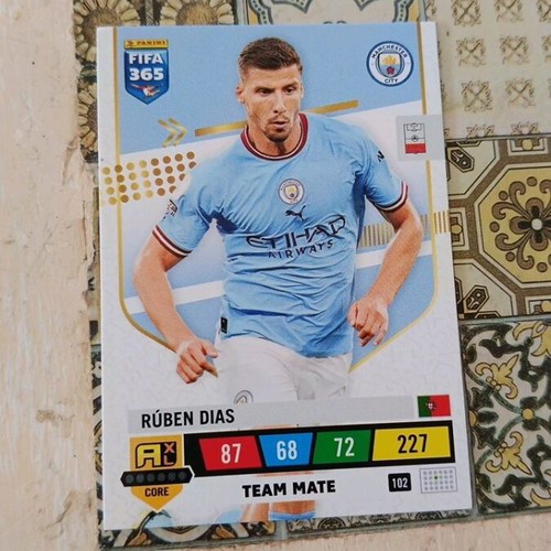 Ruben Diaz Manchester City card new