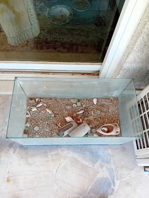 Fish tank without lid, used, about 1 year