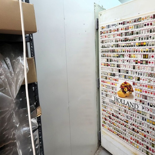 Modular Refrigeration Chamber 30m³ used, complete system with machine