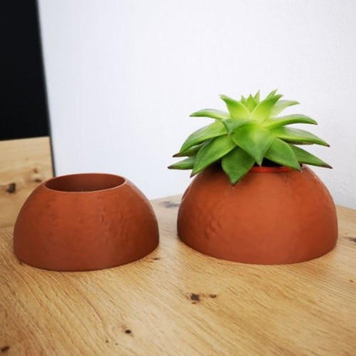 Patrick Star Indoor Plant Pot New