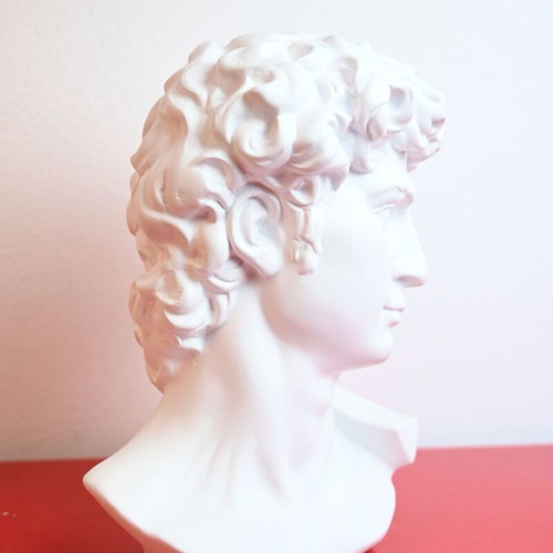 Bust of David by Michelangelo used, resin 20x28 cm
