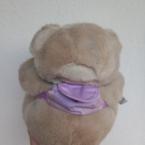 Teddy bear with backpack used