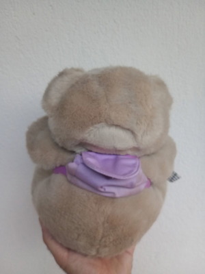 Teddy bear with backpack used