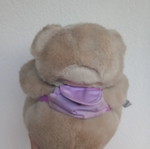 Teddy bear with backpack used