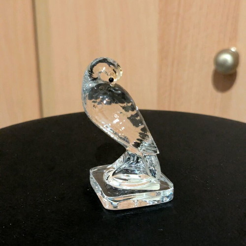 Decorative transparent bird like new