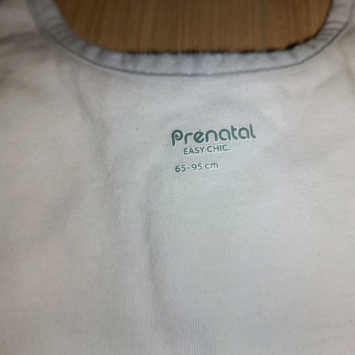 Prenatal winter sleeping bag 2.5 tog used, jersey with clouds