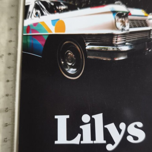 Lily's A Nanny In Manhattan Promo Card like new