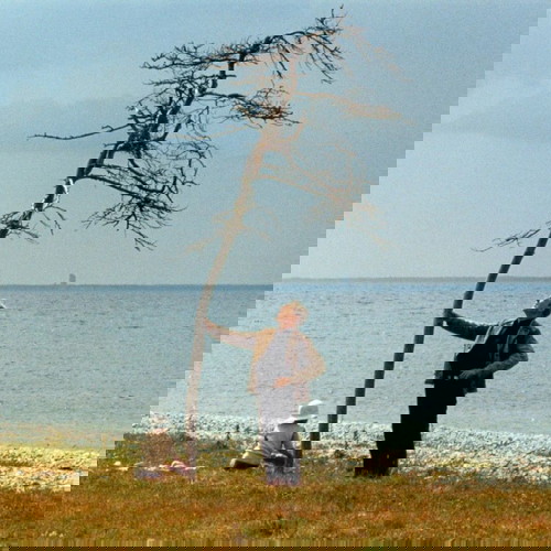 The Sacrifice Blu-ray σαν καινούργιο, δράμα, αμερικάνικη έκδοση region A