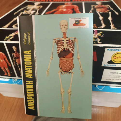 Vintage educational anatomy model with Greek book and red membrane new