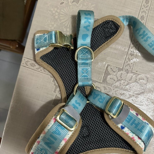 Dog harness like new, medium size with colorful hearts and blue straps