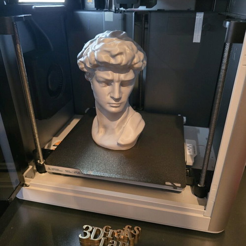 David bust by Michelangelo 3d printed new, about 20cm