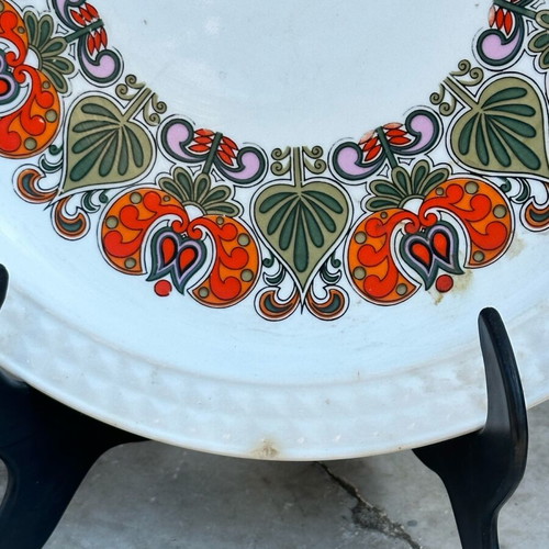 Pontesa Ironstone Collectible Plate used with Retro Floral Design