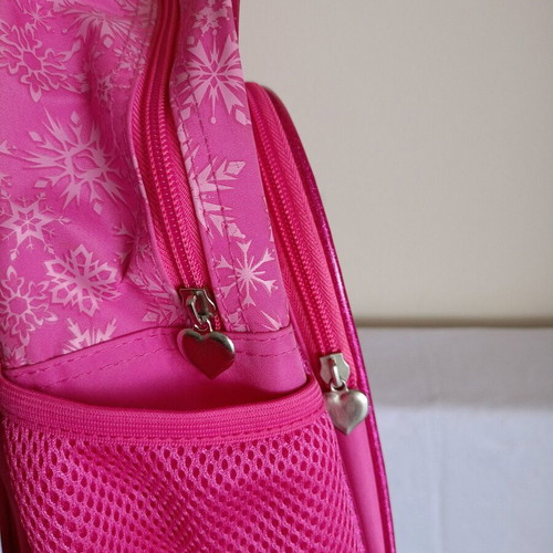 Frozen toddler trolley bag used