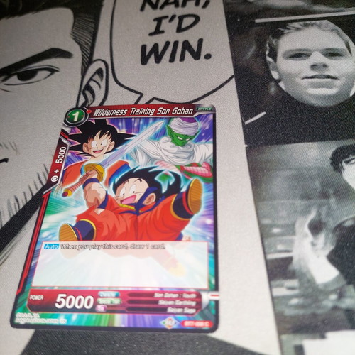 Wilderness Training Son Gohan card like new
