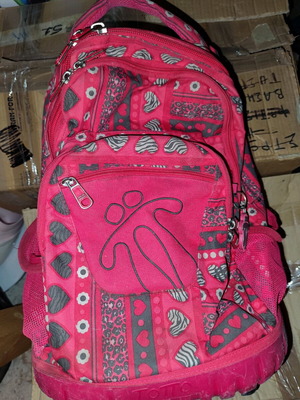 School bag with trolley used, elementary