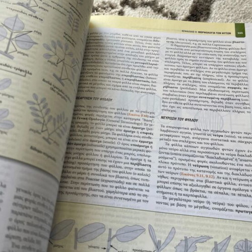 Book Systematic of Plants new university biology