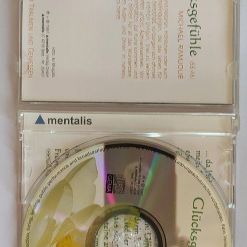 Michael Ramjoué CD Feelings of Happiness used, relaxing music
