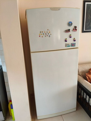 Candy refrigerator and Bosch freezer, used
