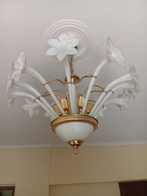 Porcelain ceiling light with white daisies new