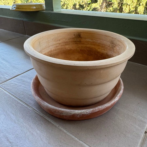 Terracotta flowerpots like new, various sizes