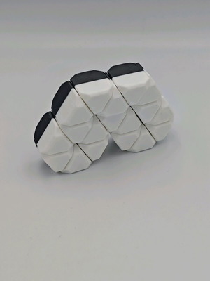 Fidget toy new, 3d printed from esun pla+ material
