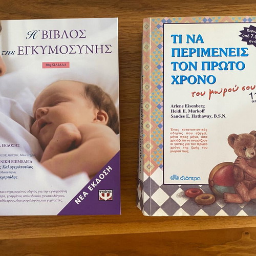 The Pregnancy Bible and What to Expect the First Year of Your Baby like new