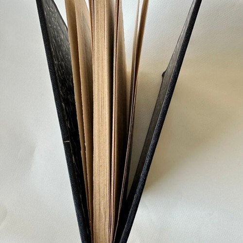 Gaston Leroux Rouletabille chez le Tsar French book used, hardcover