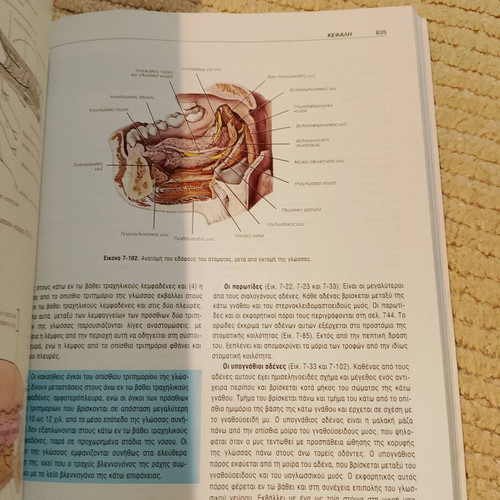 Clinical Anatomy II used